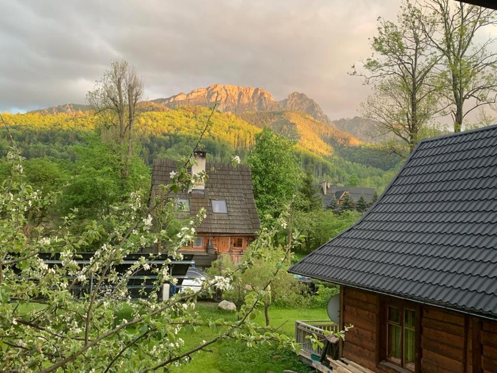 Domek Sekret Zakopane Exterior photo